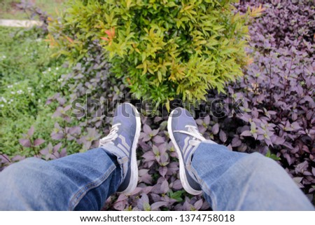 Similar – Blaues Blumenbeet mit blauen Schuhen