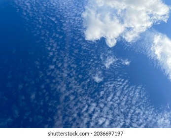 Blue Shy And White Clouds