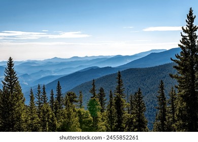 Blue silhouette mountain valley with pine trees in the foreground, natural outdoor panorama - Powered by Shutterstock