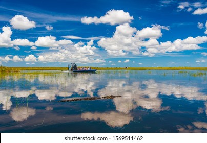 Blue skies are reflected in the still waters of the everglades while tourists take airboat rides to visit aligators in the wild