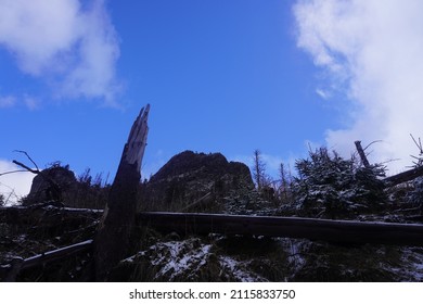 Blue Sky Above A Tree Stump, Tatra Mountains