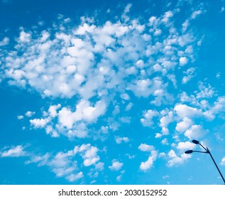 Blue sky background, abstract seasonal wallpaper, sunny day with tiny clouds atmosphere. Blue welkin with small feather white clouds. Sunny day in Ukraine. One single iron lamppost against a clear sky - Shutterstock ID 2030152952