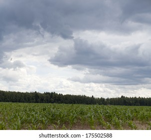 Blue Sky Background With Gray Clouds 