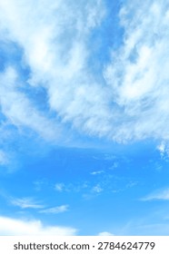 Blue sky background with thin clouds.