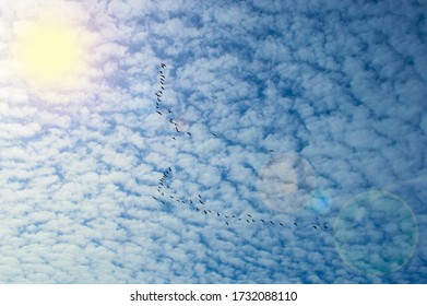 Blue Sky With Cirrus Clouds Close Up In Detail