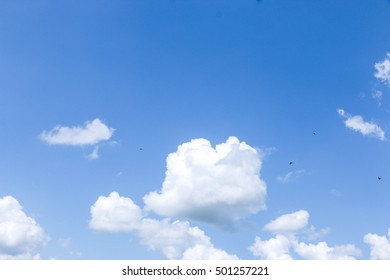 blue sky with cloud closeup