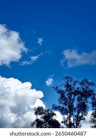 Blue Sky with Cloud and Trees
