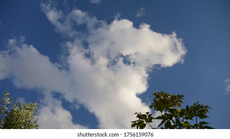 
Blue sky with clouds 