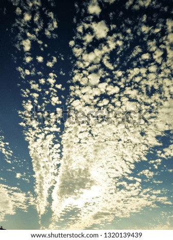 Similar – Image, Stock Photo Marina Del Rey, Ca.
