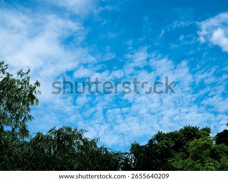 Blue sky with clouds background texture. Sky scape.