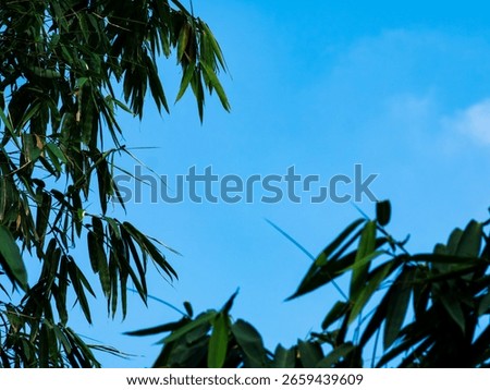 Blue sky with clouds background texture. Sky scape.