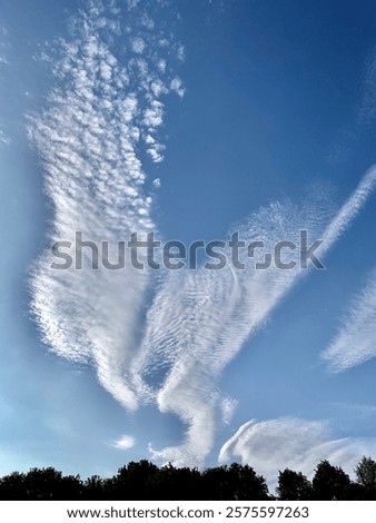 Blue sky. Clouds in the shape of wings. Summer sky.