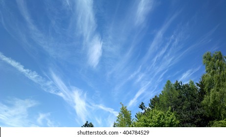 Blue Sky Clouds And Trees