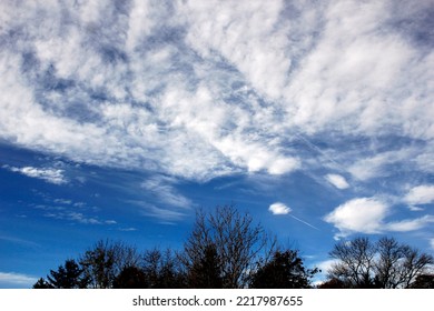 blue sky with clouds and trees as background