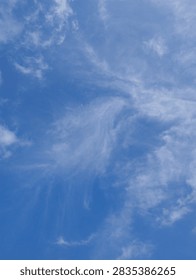 blue sky with cloudssky, blue, cloud, clouds, nature, white, weather, day, cloudscape, cloudy, summer, air, sun, light, clear, heaven, fluffy, beautiful, beauty, sunny, skies, abstract, space, sunlight, bright