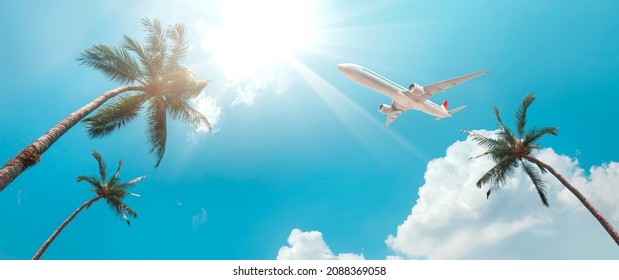  Blue sky with coconut trees, The airplane is going to the tropical sea beach. for sightseeing and relaxing in the summer holidays.