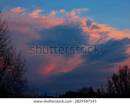 blue sky with dolphin clouds