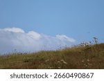 Blue Sky and Dramatic White Clouds Over Grassy hill
