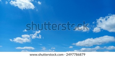 Similar – Image, Stock Photo Between a gloomy sky, a field of sunflowers and many cornflowers, I once took the white daisies on target.
