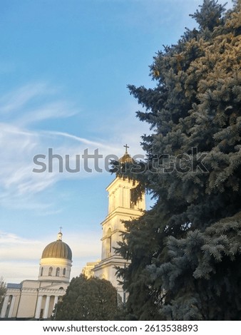 Blue sky with fluffly white clouds and fir