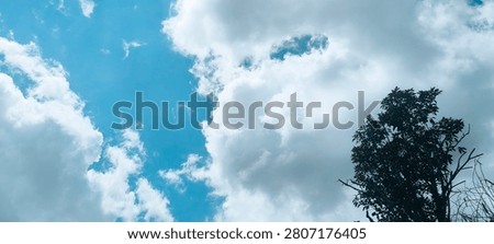 Blue sky with fluffy white clouds above tree silhouette. Bright daylight creates contrast between air and branches. Open view shows natural atmosphere. Outdoor scene highlights cloud texture.
