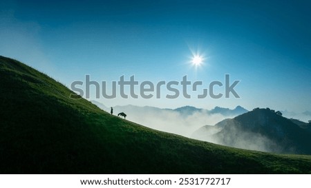 Similar – Golden hour at Picos de Europa mountain range