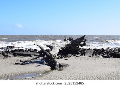 blue sky, grey sand, driftwood beach with waves - Powered by Shutterstock