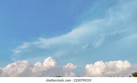 The blue sky with half cloud