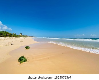 Blue Sky In Koggala Beach Sri Lanka