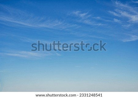 Similar – Image, Stock Photo Sky with little clouds and 2 different trees, bare and spring greenery