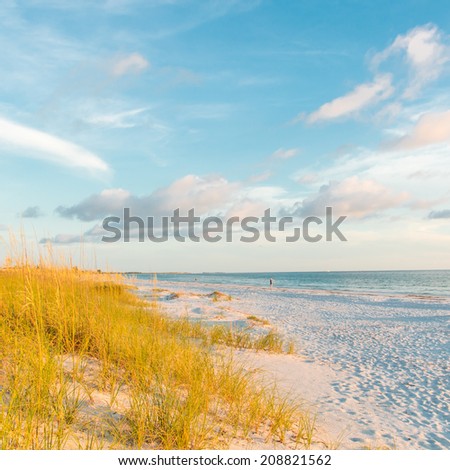 Blue sky and ocean beach with sand dunes with grass