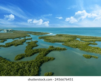 Blue sky over the mangrove tree waterway off the Gulf of Mexico in Naples, Florida in summer. - Powered by Shutterstock