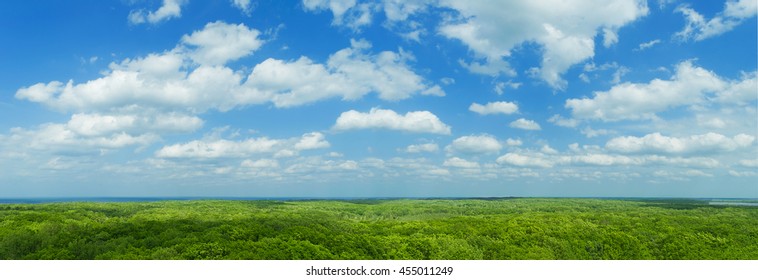 Blue Sky Panorama With Clouds Over Tops Of Green Trees