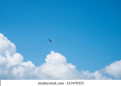 Blue Sky And Puffy Clouds