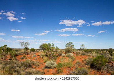 The Blue Sky, Red Sand And Scrubby Vegetation Of The Central Australian Landscape. Northern Territory, Australia.