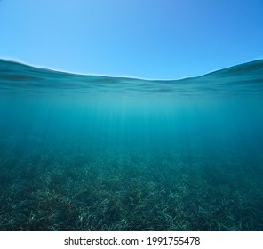 Blue Sky With Sea Grass Underwater, Split View Over And Under Water Surface, Mediterranean Sea