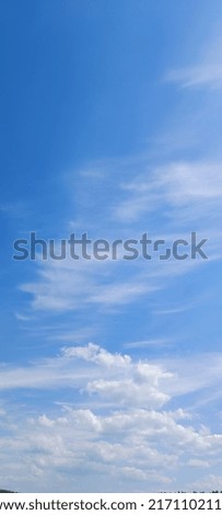 blue sky in the summer noon