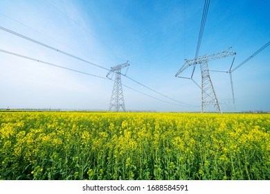 Blue sky sunshine farm high voltage transmission tower yellow rape flower
