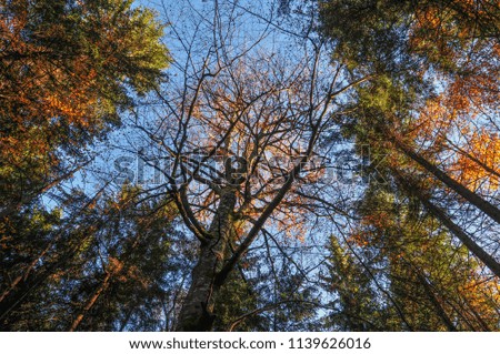 Similar – Image, Stock Photo Wind power at Roßkopf 8