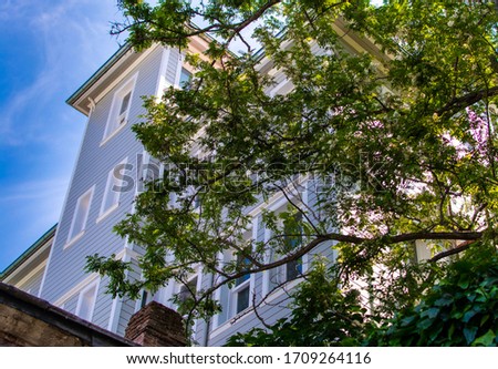 blue sky trees and beatiful building oldish architecture