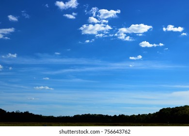 Blue sky view with tree and clouds