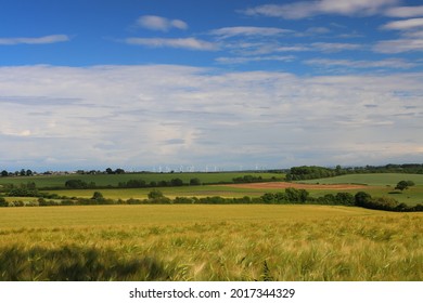 Blue Sky and Wheat Fields on a Summer Day near Sedgefield, County Durham, England, UK.