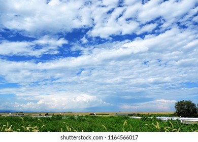 Blue Sky and White Cloud.