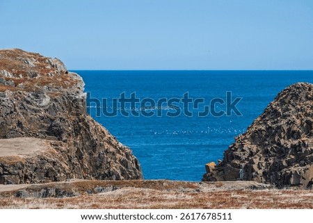 Blue sky, white clouds, calm sea. There is no Puffin's Puffin Viewing Site yet, the scenery of the bay. -Elliston, Newfoundland and Labrador, Canada. 