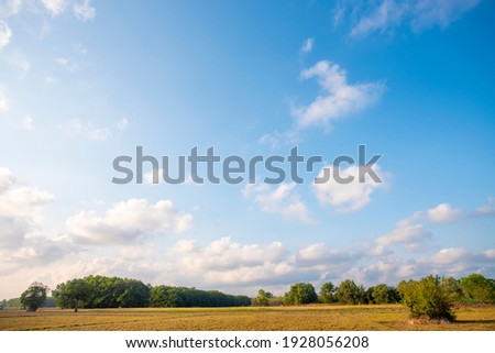 blue sky and white clouds. Freshness of the new day. Bright blue background. Relaxing feeling like being in the sky.Landscape image of blue sky and thin clouds.
