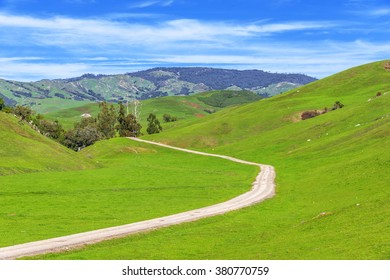 Blue Sky, White Clouds, Green Hills, Grass & Fields On A Winding Rural / Country Road, On The California Central Coast Near Cambria, CA.