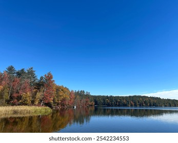 Blue Sky White Clouds Pine Trees Fall Leaves Foliage Dry Grass Reeds Plants Reflected on Water Lake River Pond - Powered by Shutterstock