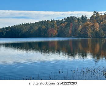 Blue Sky White Clouds Reflected in Lake Water Pond River Reeds Grass Plants Fall Foliage on Colorful Trees along Bank - Powered by Shutterstock