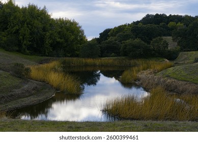Blue sky and white clouds reflected in the small pond in Henry Coe State Park.