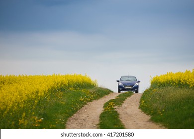 Blue small car rides on a rural road near field rapeseed